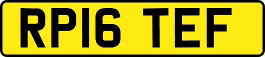RP16TEF
