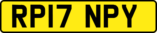 RP17NPY