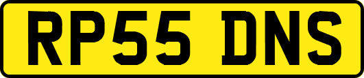 RP55DNS