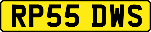 RP55DWS