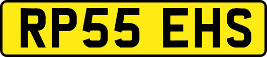 RP55EHS