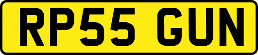 RP55GUN