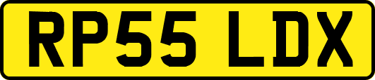 RP55LDX