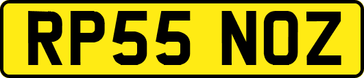 RP55NOZ