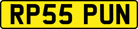 RP55PUN
