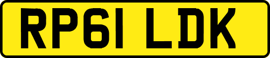 RP61LDK