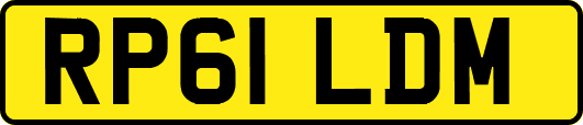 RP61LDM