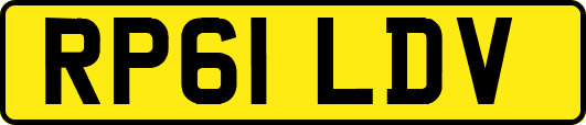 RP61LDV
