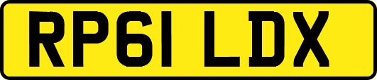 RP61LDX
