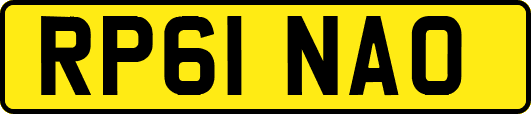 RP61NAO