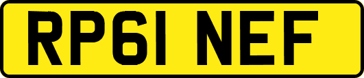 RP61NEF