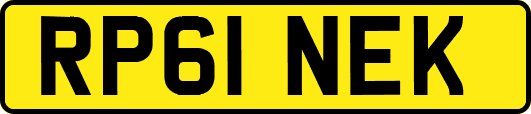 RP61NEK