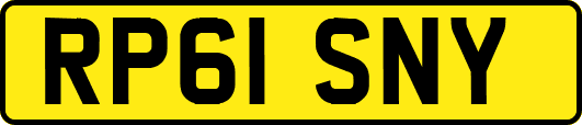 RP61SNY