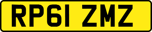 RP61ZMZ