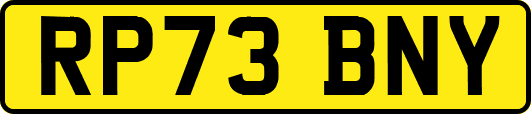 RP73BNY
