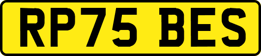 RP75BES