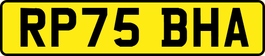 RP75BHA