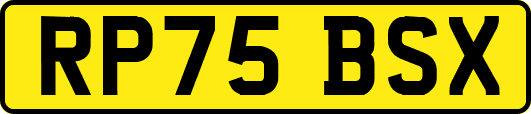 RP75BSX