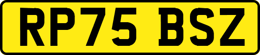 RP75BSZ