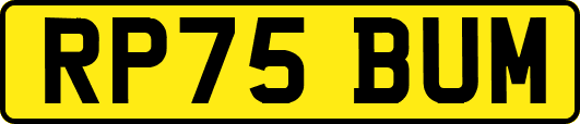 RP75BUM