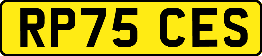 RP75CES
