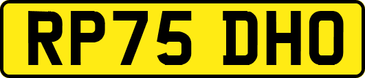 RP75DHO