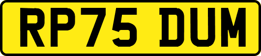 RP75DUM