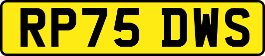 RP75DWS