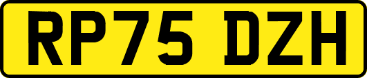 RP75DZH