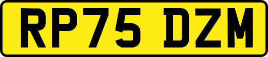RP75DZM