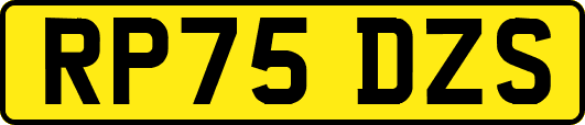 RP75DZS