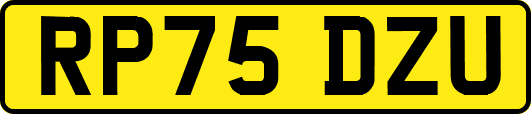 RP75DZU