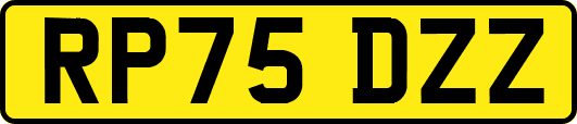 RP75DZZ