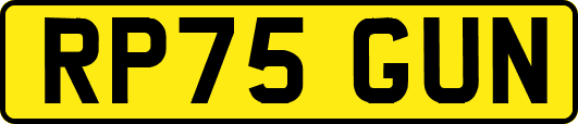 RP75GUN