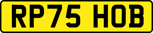 RP75HOB