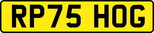 RP75HOG