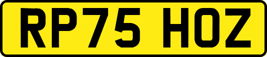 RP75HOZ