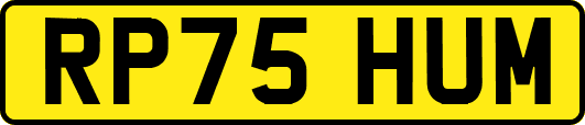 RP75HUM