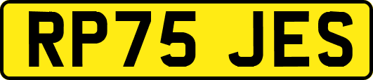 RP75JES