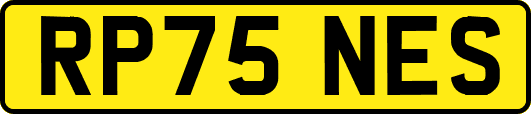 RP75NES