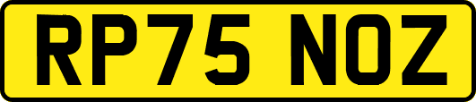 RP75NOZ