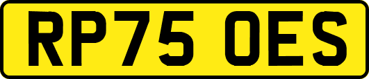 RP75OES