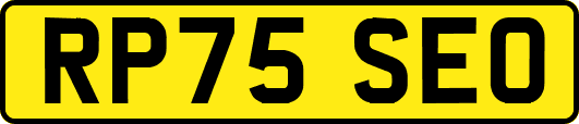 RP75SEO