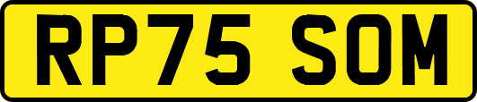 RP75SOM