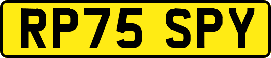 RP75SPY
