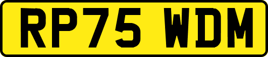 RP75WDM