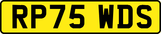 RP75WDS