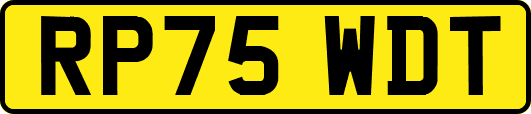 RP75WDT