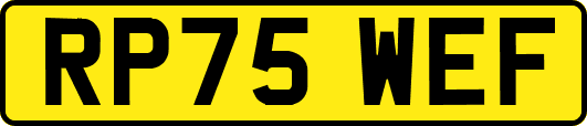 RP75WEF