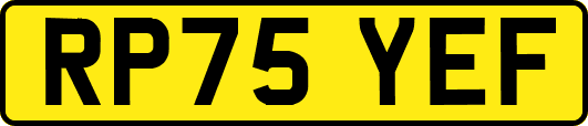 RP75YEF